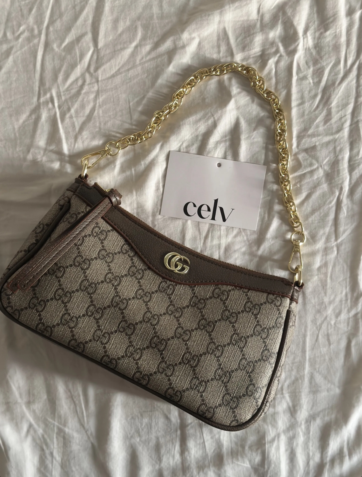 ( Brown ) Mini Gucci Hand bag